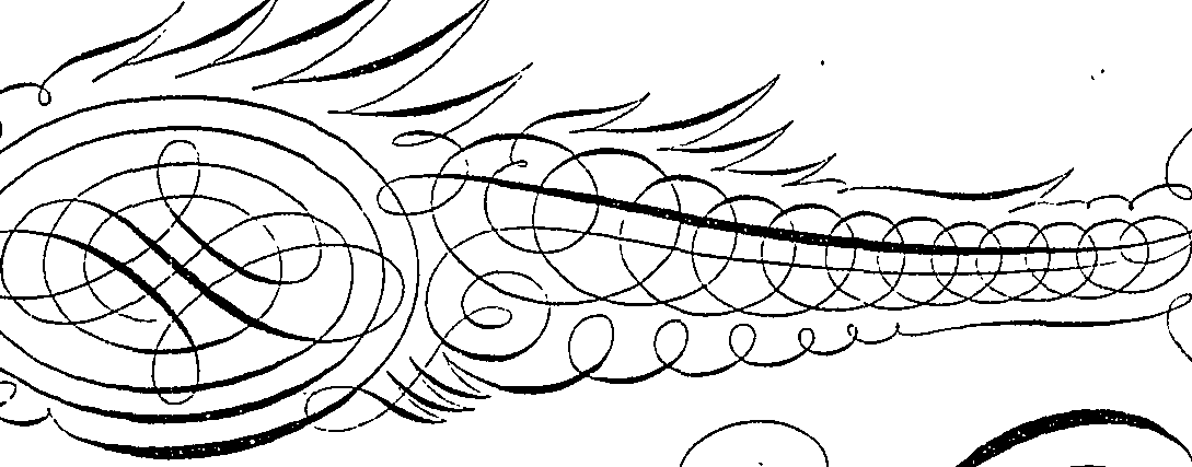 066/066490080001120_0.png