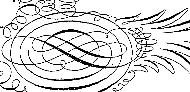 066/066490080001120_2.png