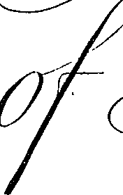066/066490080001170_3.png