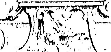 066/066490080001340_0.png