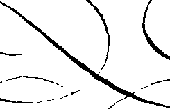 066/066490080001430_0.png