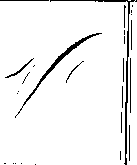 066/066490080001530_0.png