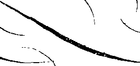 066/066490080001560_3.png