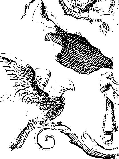 066/066490080001560_4.png