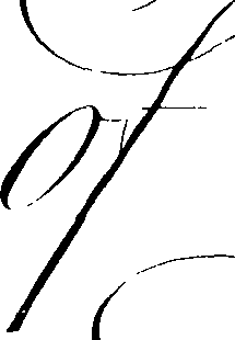 066/066490080001570_0.png