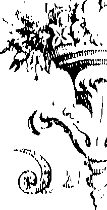 066/066490080001620_0.png