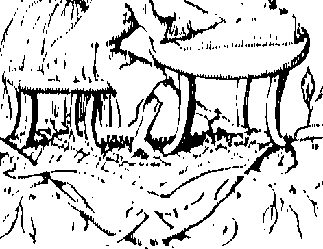 066/066490080001820_0.png