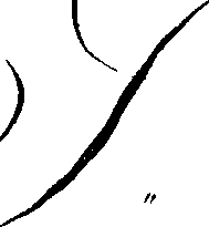 066/066490080001890_0.png