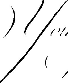 066/066490080001950_0.png
