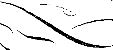 066/066490080002200_2.png