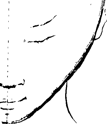 066/066490090000030_0.png
