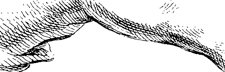 066/066490090000040_4.png