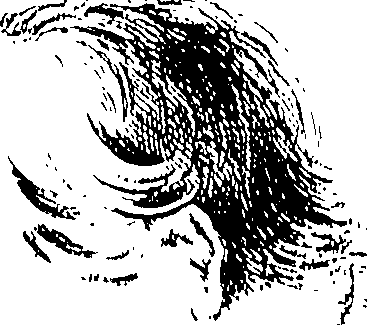 066/066490090000050_0.png