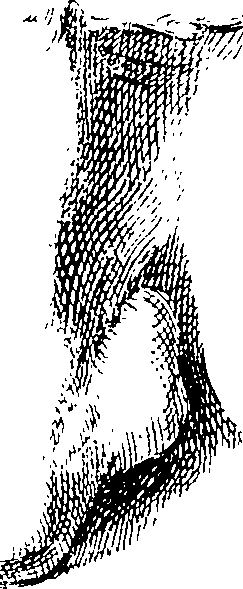 066/066490090000050_6.png