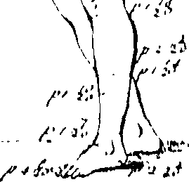 066/066490090000080_0.png