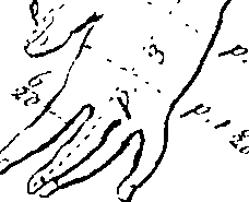 066/066490090000080_5.png