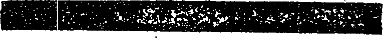 066/066520090000010_1.png
