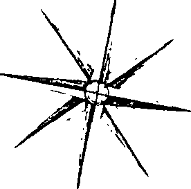 066/066550090000010_2.png