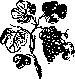 066/066550090000950_0.png