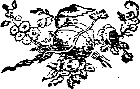 066/066560050000800_0.png