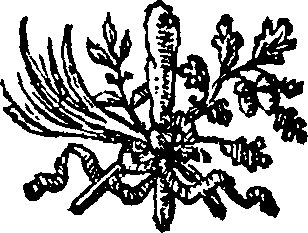 066/066570280000430_0.png