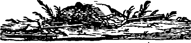 066/066590010104960_0.png