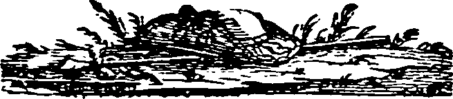 066/066590010200720_0.png