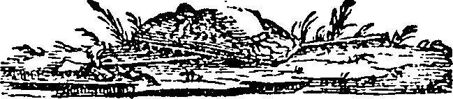 066/066590010300570_0.png