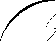 066/066640090000030_0.png