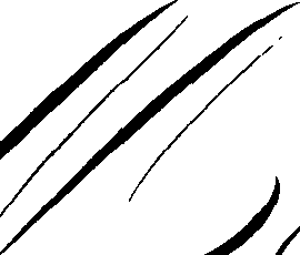 066/066640090000210_1.png