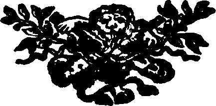 066/066660030000810_0.png