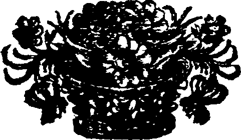 066/066670040000250_0.png