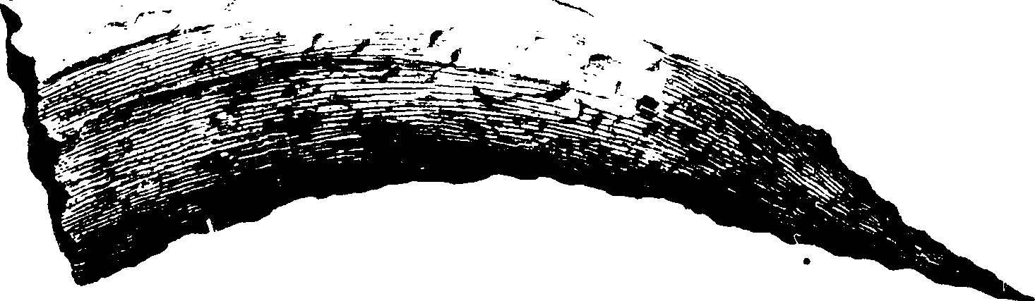 066/066670100000010_12.png