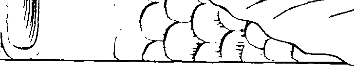 066/066670120000730_1.png