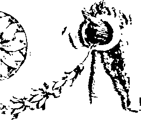 066/066670120000940_0.png