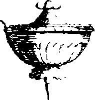 066/066670120000940_1.png