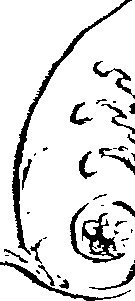 066/066670120000940_2.png