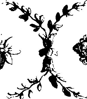 066/066670120000940_5.png