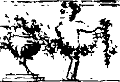 066/066670120001220_0.png