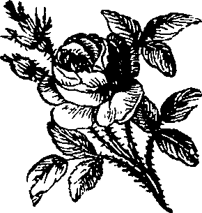 066/066670180000030_0.png