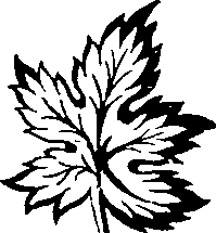 066/066670180001080_1.png