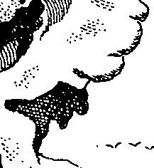 066/066680020000240_0.png