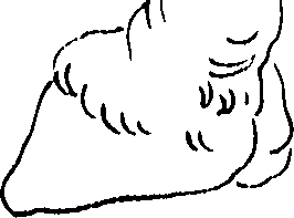 066/066680130000100_1.png