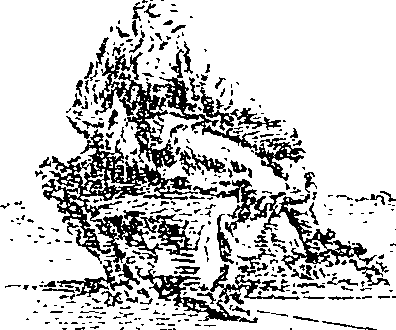 066/066680190001320_0.png