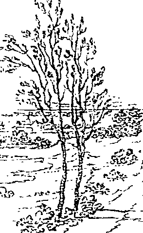 066/066680190001400_0.png