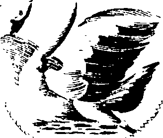 066/066690010700130_1.png
