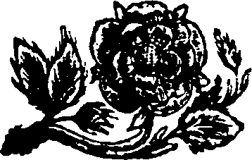 066/066690170000120_0.png