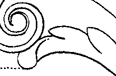 066/066700120000350_1.png