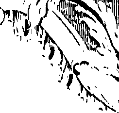 066/066700120000620_0.png