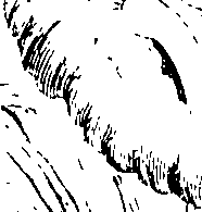 066/066700120000790_0.png